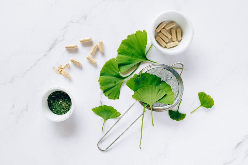 Plantas y Hierbas Medicinales
