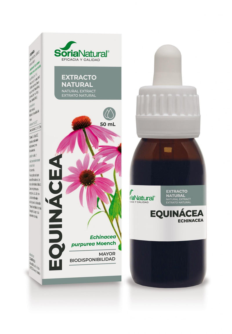 Echinacea Extract | Soria Natural