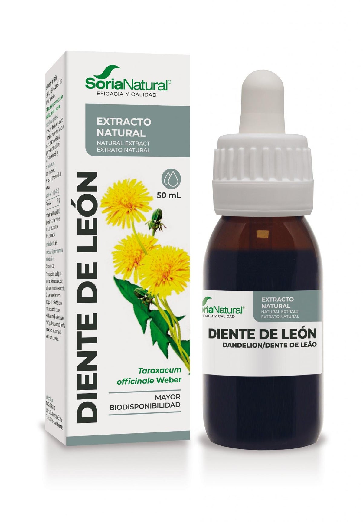 Dandelion Extract | Soria Natural