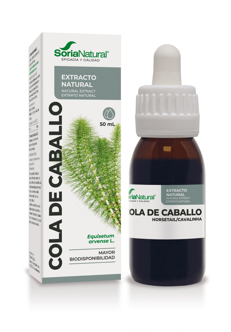 Horsetail Extract | Soria Natural