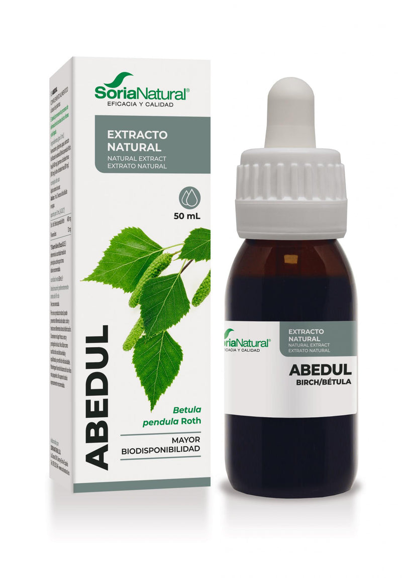Birch Extract | Soria Natural