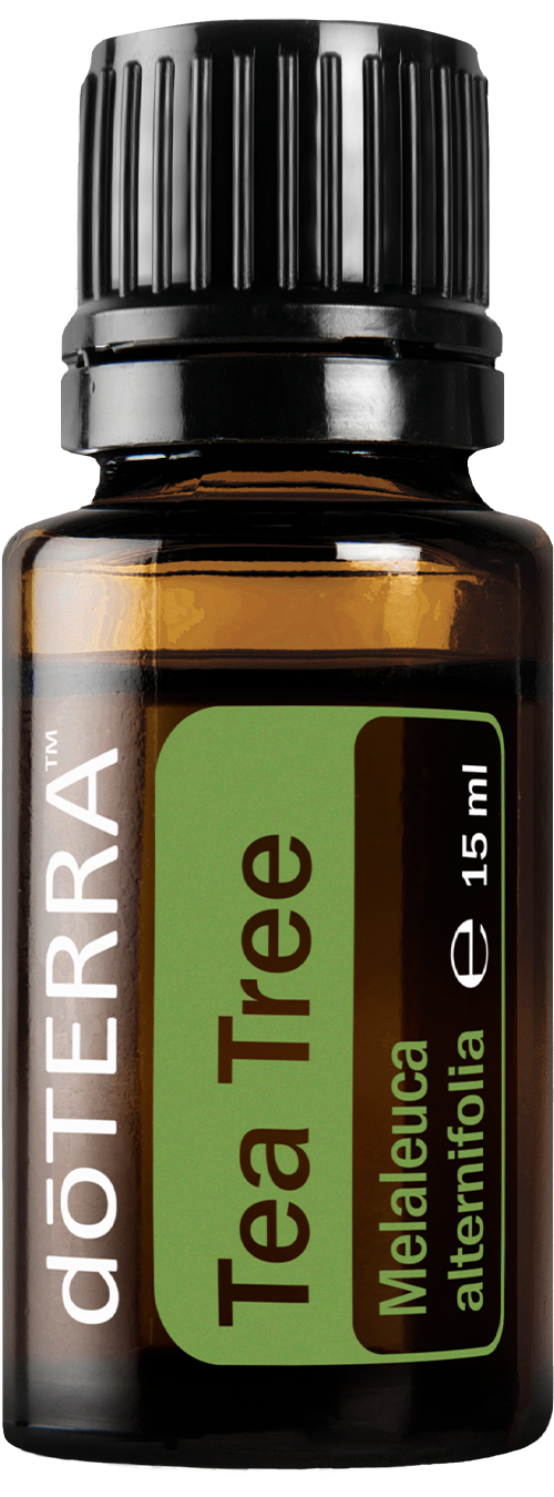 doTERRA Tea Tree Árbol del Té Melaleuca Aceite Esencial 15 ml
